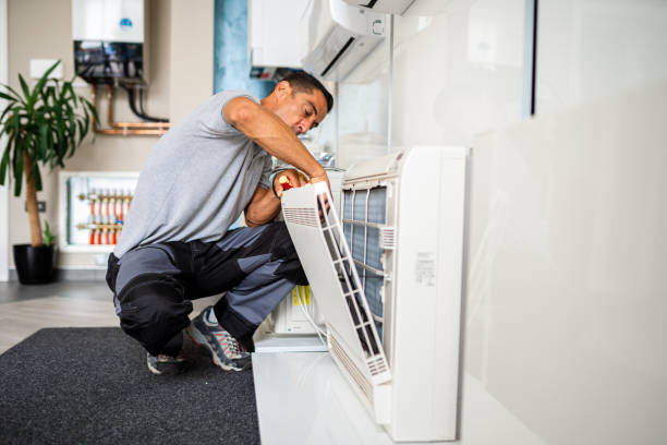 Air Duct Mold Removal in UT