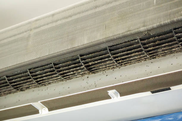 Best HVAC System Cleaning  in Cedar Hills, UT
